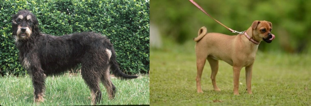 Muggin vs Griffon Nivernais - Breed Comparison