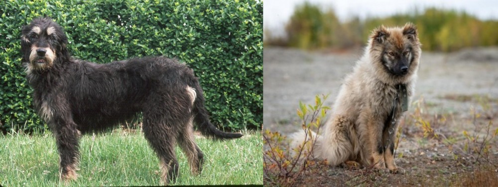 Nenets Herding Laika vs Griffon Nivernais - Breed Comparison