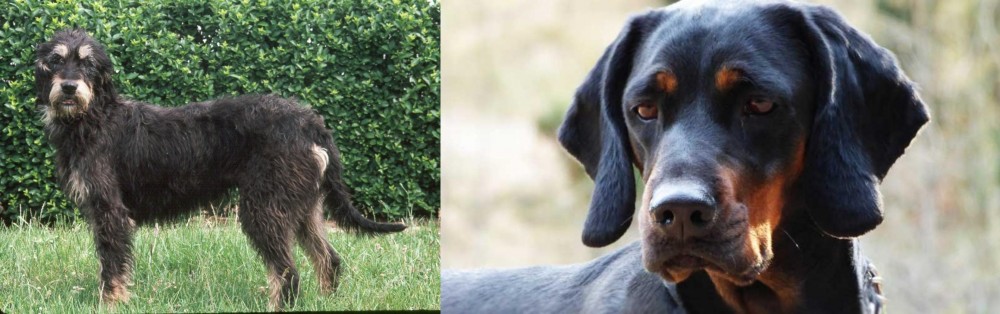 Polish Hunting Dog vs Griffon Nivernais - Breed Comparison