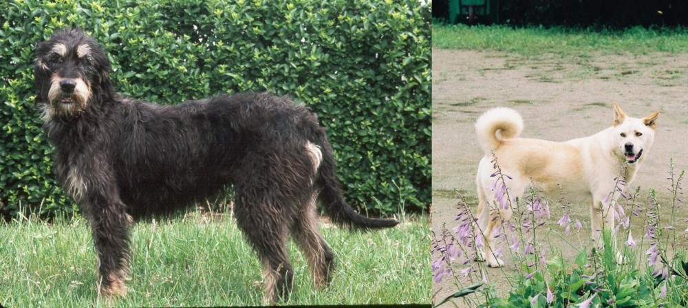 Pungsan Dog vs Griffon Nivernais - Breed Comparison