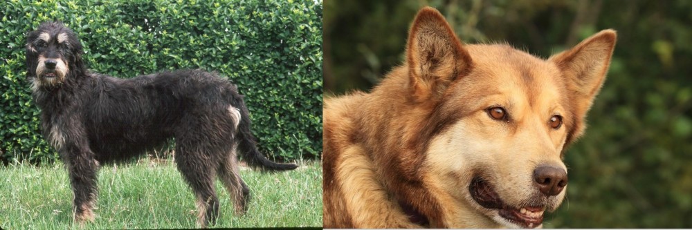 Seppala Siberian Sleddog vs Griffon Nivernais - Breed Comparison