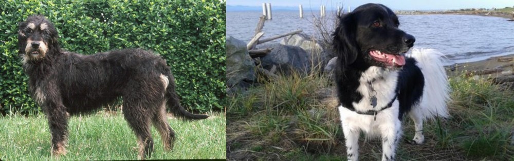 Stabyhoun vs Griffon Nivernais - Breed Comparison