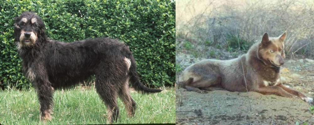 Tahltan Bear Dog vs Griffon Nivernais - Breed Comparison