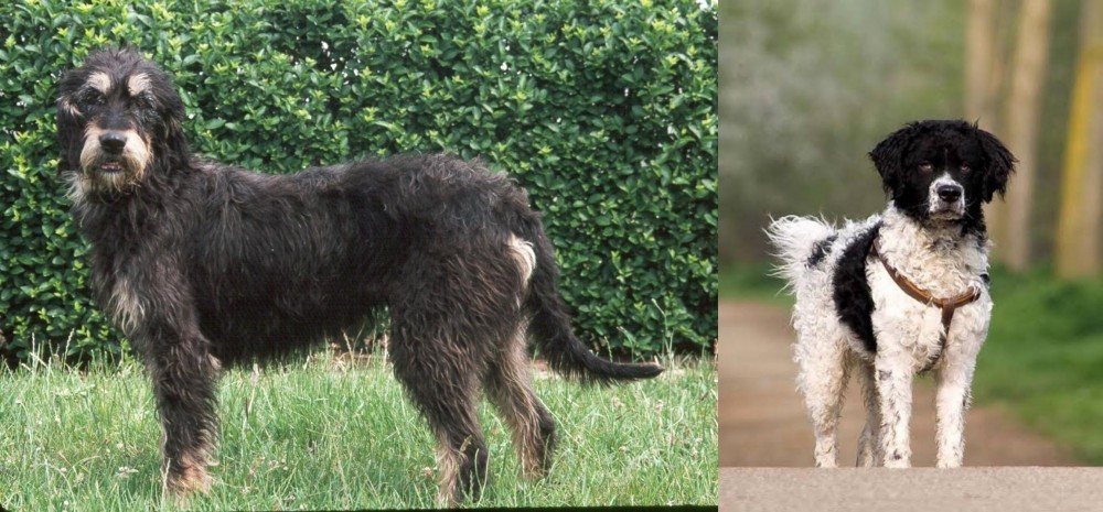 Wetterhoun vs Griffon Nivernais - Breed Comparison