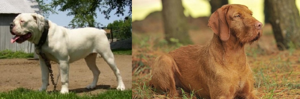Hungarian Wirehaired Vizsla vs Hermes Bulldogge - Breed Comparison