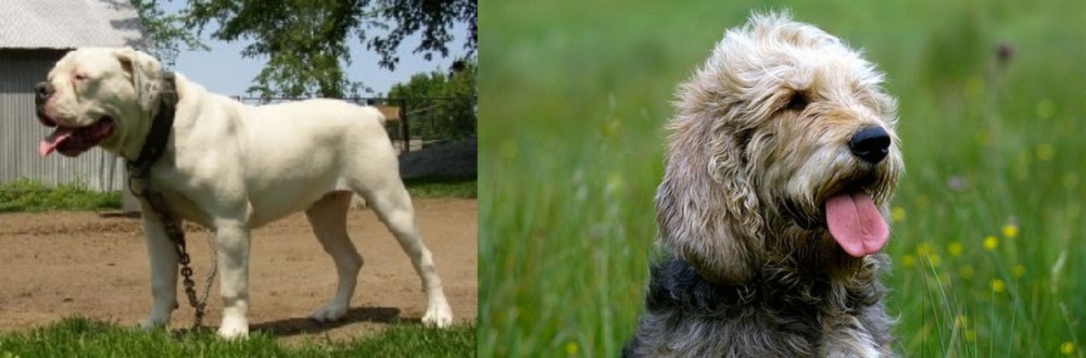 Otterhound vs Hermes Bulldogge - Breed Comparison