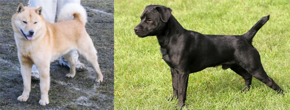 Patterdale Terrier vs Hokkaido - Breed Comparison