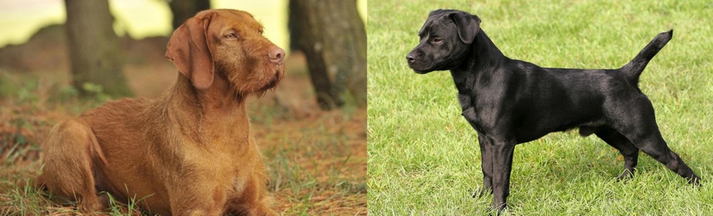 Patterdale Terrier vs Hungarian Wirehaired Vizsla - Breed Comparison