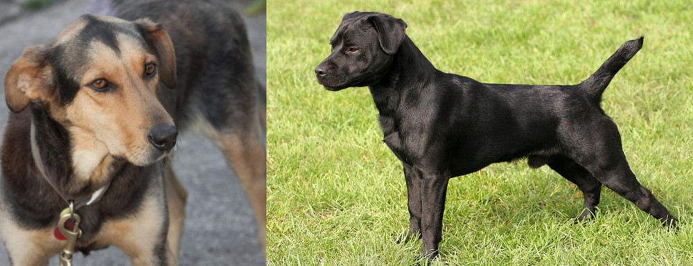 Patterdale Terrier vs Huntaway - Breed Comparison