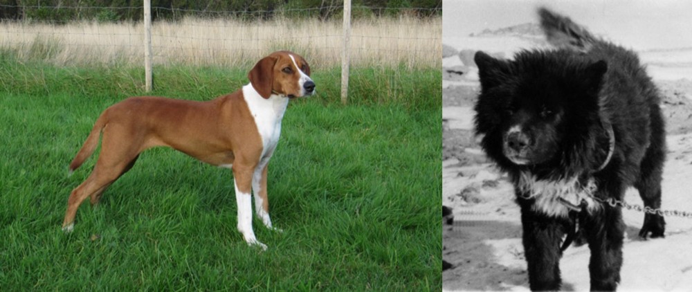 Sakhalin Husky vs Hygenhund - Breed Comparison