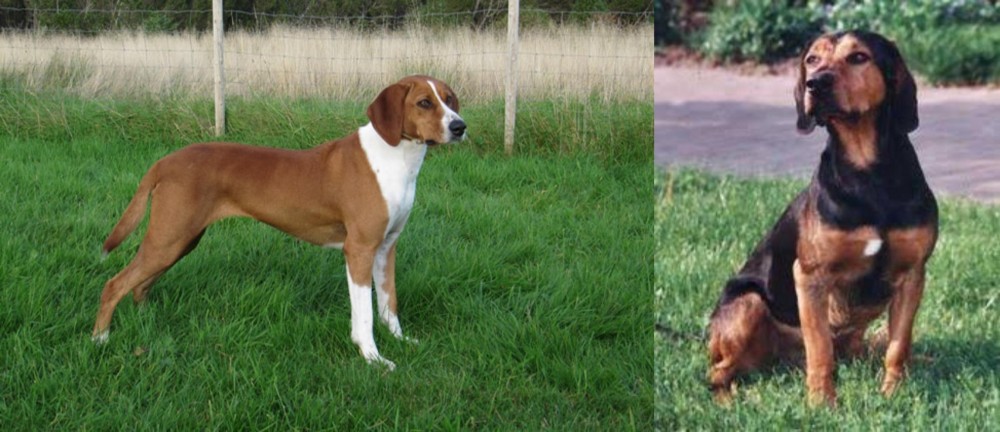 Tyrolean Hound vs Hygenhund - Breed Comparison