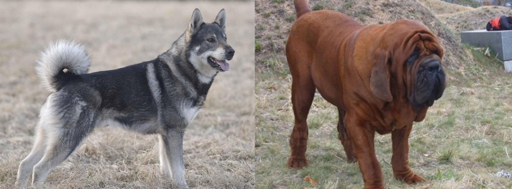 Korean Mastiff vs Jamthund - Breed Comparison
