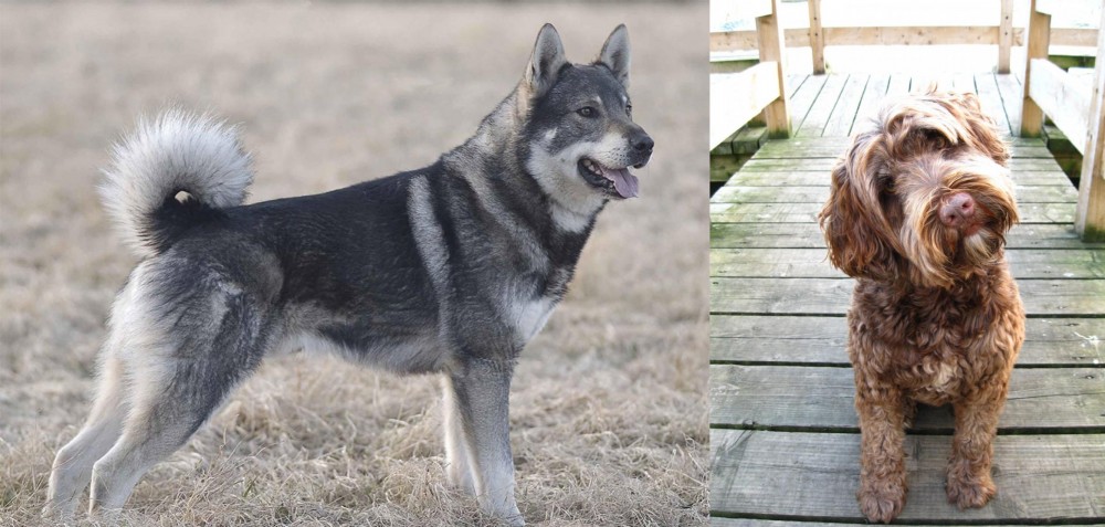 Portuguese Water Dog vs Jamthund - Breed Comparison