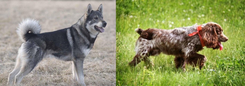 Russian Spaniel vs Jamthund - Breed Comparison