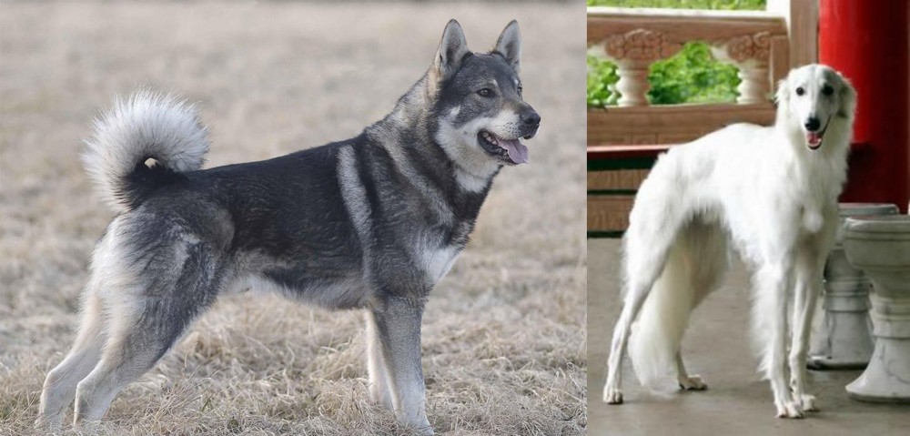 Silken Windhound vs Jamthund - Breed Comparison