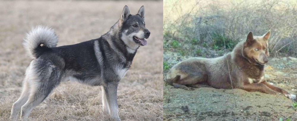 Tahltan Bear Dog vs Jamthund - Breed Comparison