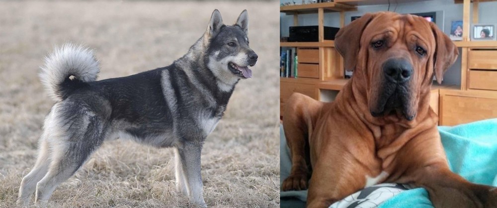 Tosa vs Jamthund - Breed Comparison