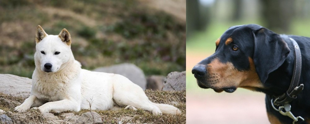Lithuanian Hound vs Jindo - Breed Comparison