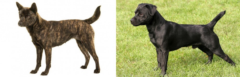 Patterdale Terrier vs Kai Ken - Breed Comparison