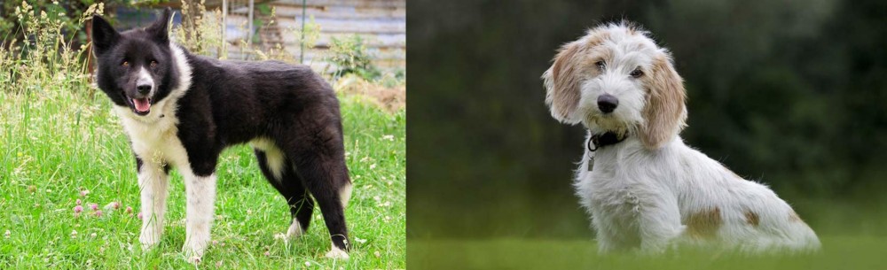 Petit Basset Griffon Vendeen vs Karelian Bear Dog - Breed Comparison
