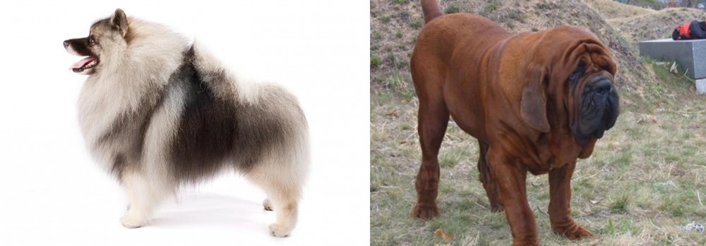 Korean Mastiff vs Keeshond - Breed Comparison