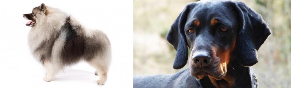 Polish Hunting Dog vs Keeshond - Breed Comparison