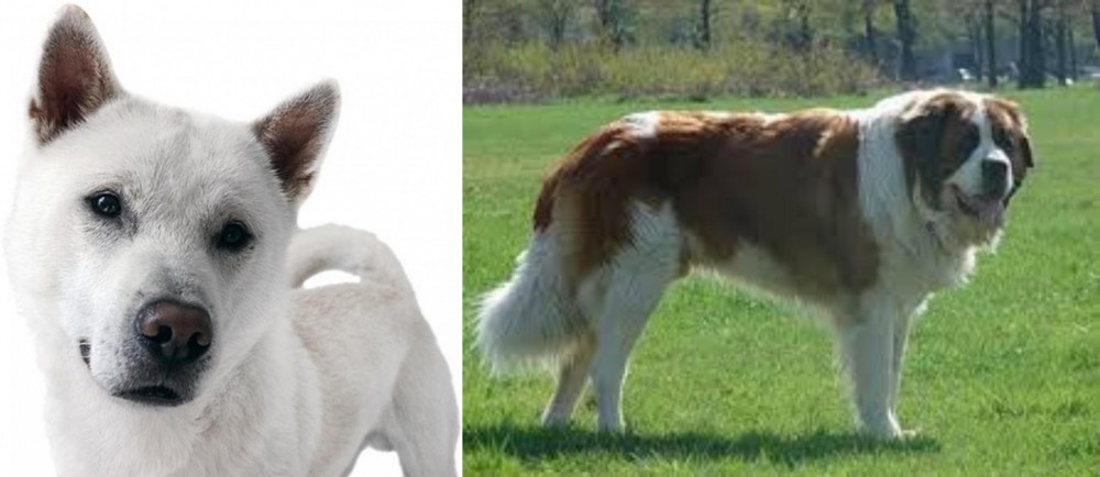 Moscow Watchdog vs Kishu - Breed Comparison