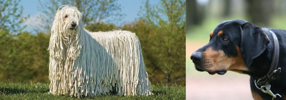Lithuanian Hound vs Komondor - Breed Comparison
