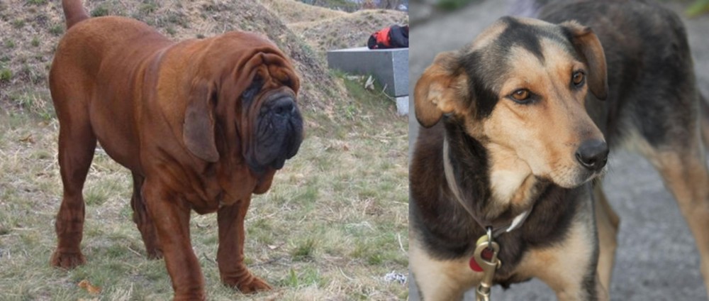 Huntaway vs Korean Mastiff - Breed Comparison