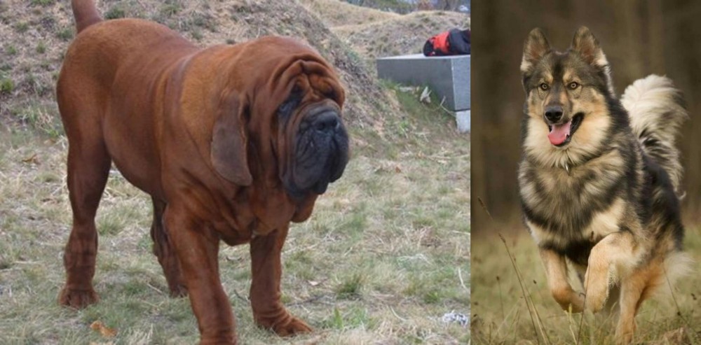 Native American Indian Dog vs Korean Mastiff - Breed Comparison