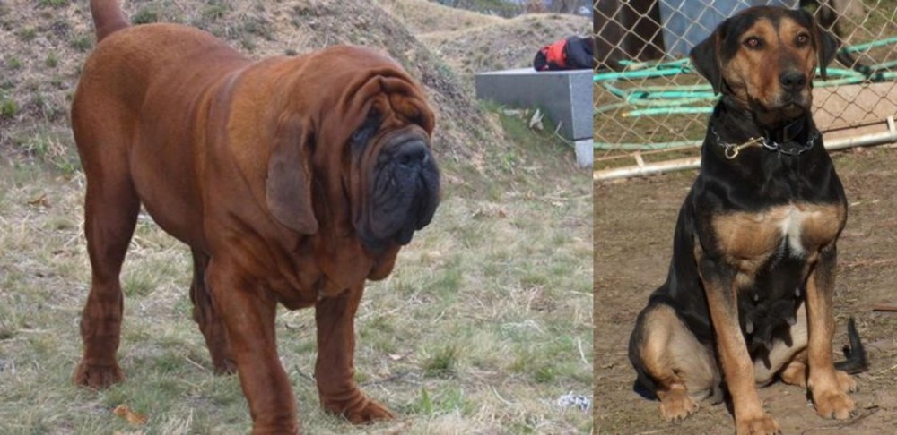 New Zealand Huntaway vs Korean Mastiff - Breed Comparison