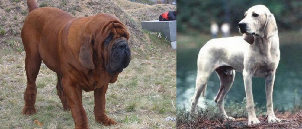 Porcelaine vs Korean Mastiff - Breed Comparison