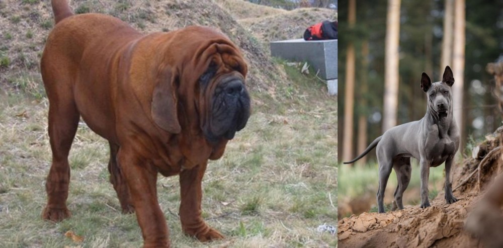 Thai Ridgeback vs Korean Mastiff - Breed Comparison