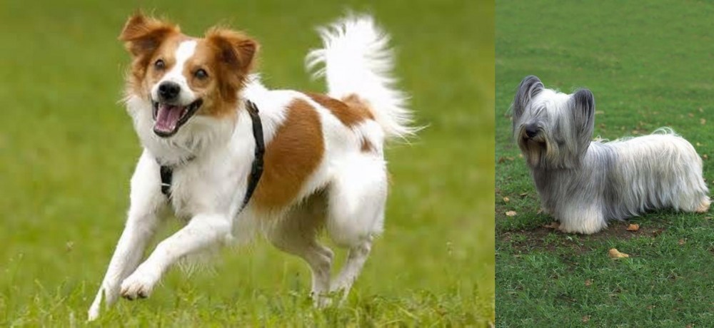 Skye Terrier vs Kromfohrlander - Breed Comparison