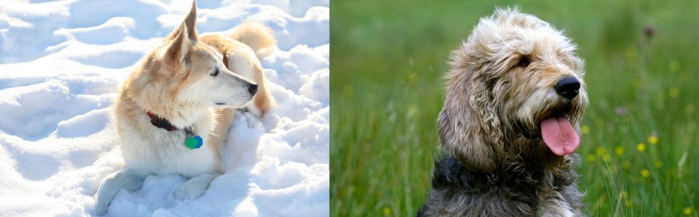 Otterhound vs Labrador Husky - Breed Comparison