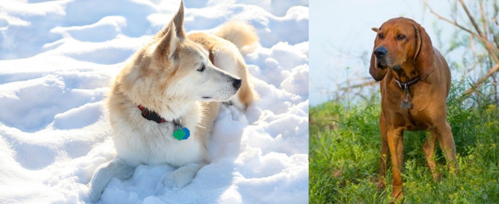 Redbone Coonhound vs Labrador Husky - Breed Comparison