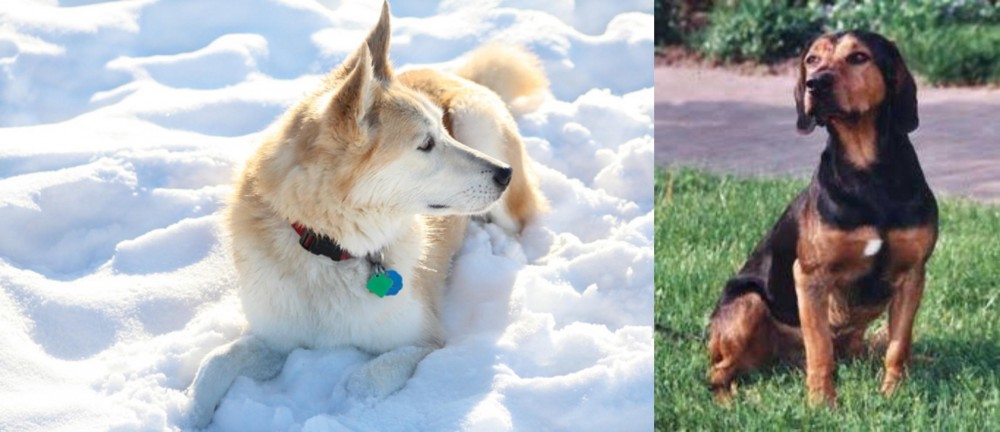 Tyrolean Hound vs Labrador Husky - Breed Comparison