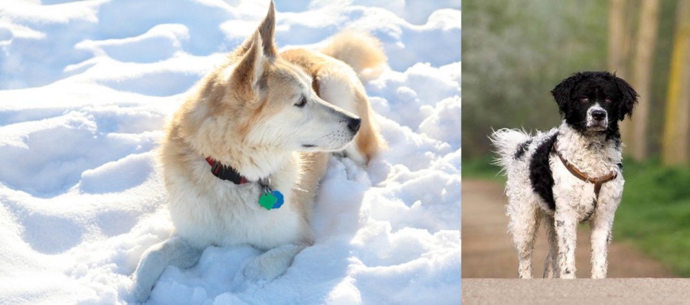 Wetterhoun vs Labrador Husky - Breed Comparison