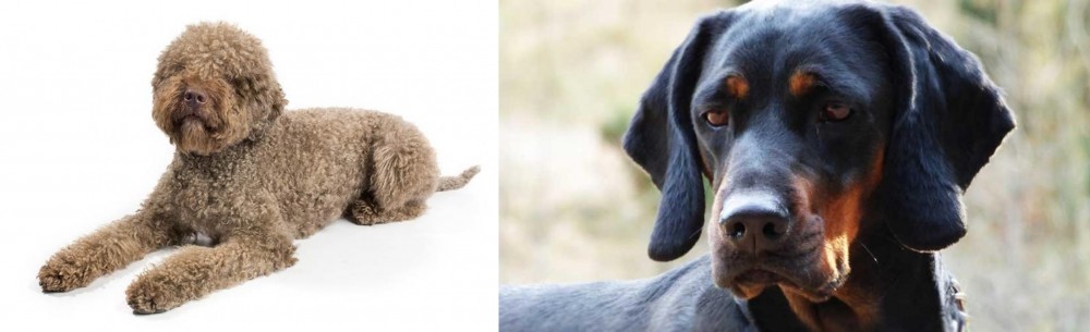 Polish Hunting Dog vs Lagotto Romagnolo - Breed Comparison
