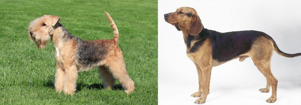 Serbian Hound vs Lakeland Terrier - Breed Comparison