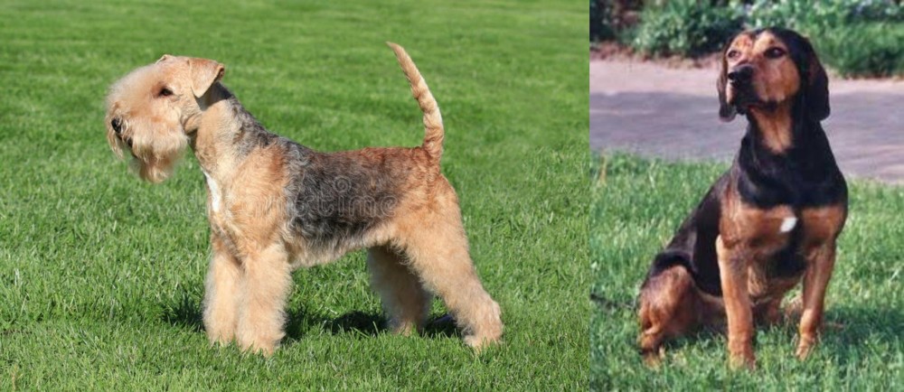 Tyrolean Hound vs Lakeland Terrier - Breed Comparison