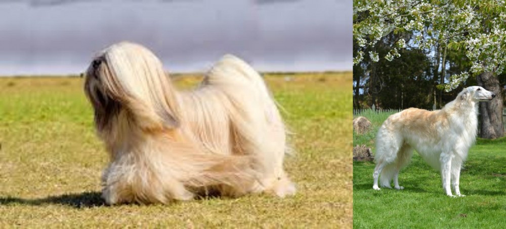 Russian Hound vs Lhasa Apso - Breed Comparison