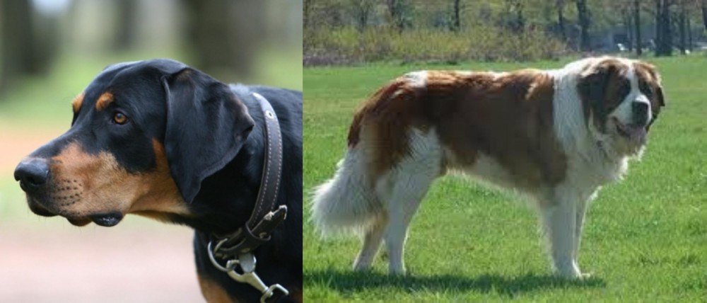 Moscow Watchdog vs Lithuanian Hound - Breed Comparison