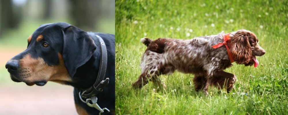 Russian Spaniel vs Lithuanian Hound - Breed Comparison
