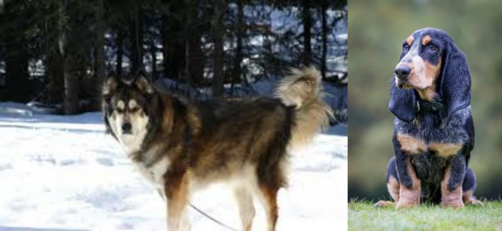 Petit Bleu de Gascogne vs Mackenzie River Husky - Breed Comparison