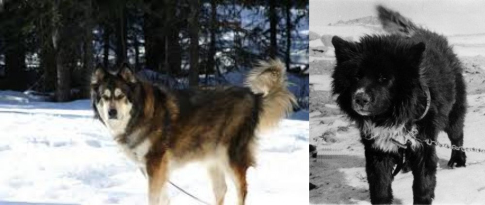 Sakhalin Husky vs Mackenzie River Husky - Breed Comparison