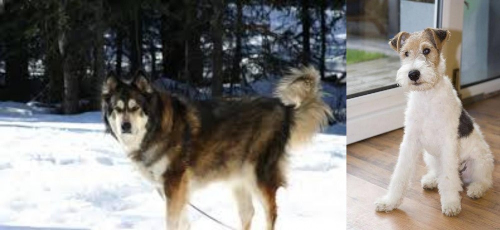 Wire Fox Terrier vs Mackenzie River Husky - Breed Comparison