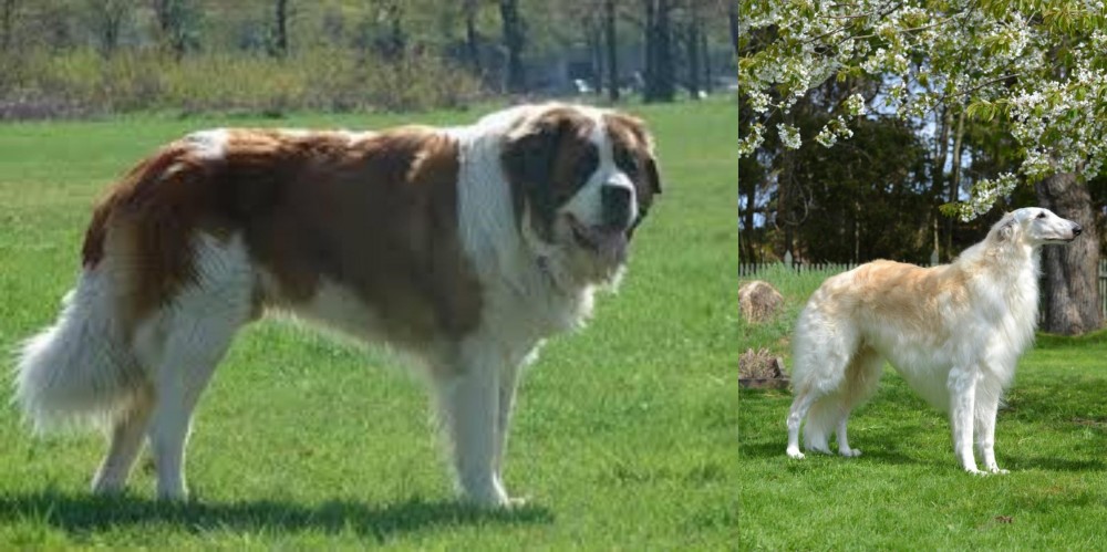 Russian Hound vs Moscow Watchdog - Breed Comparison