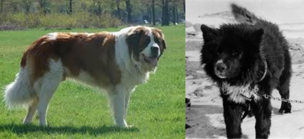 Sakhalin Husky vs Moscow Watchdog - Breed Comparison