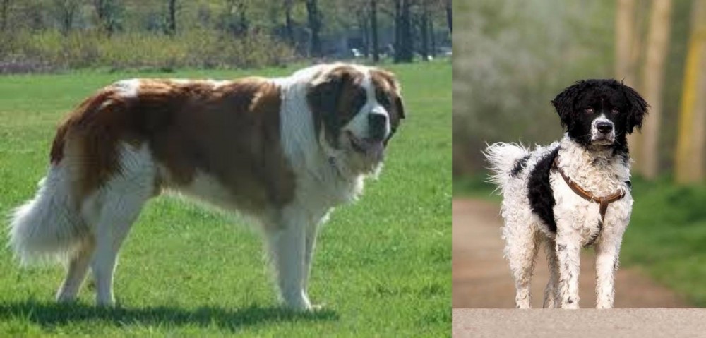 Wetterhoun vs Moscow Watchdog - Breed Comparison